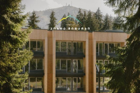 KOKHTA-MITARBI RESORT B3